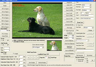 Viscomsoft Document Imaging SDK 12.5