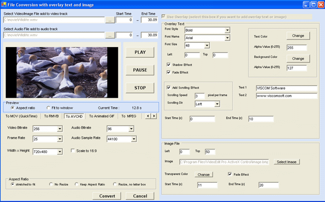 VISCOM Video Edit Pro ActiveX Control 4.0 full